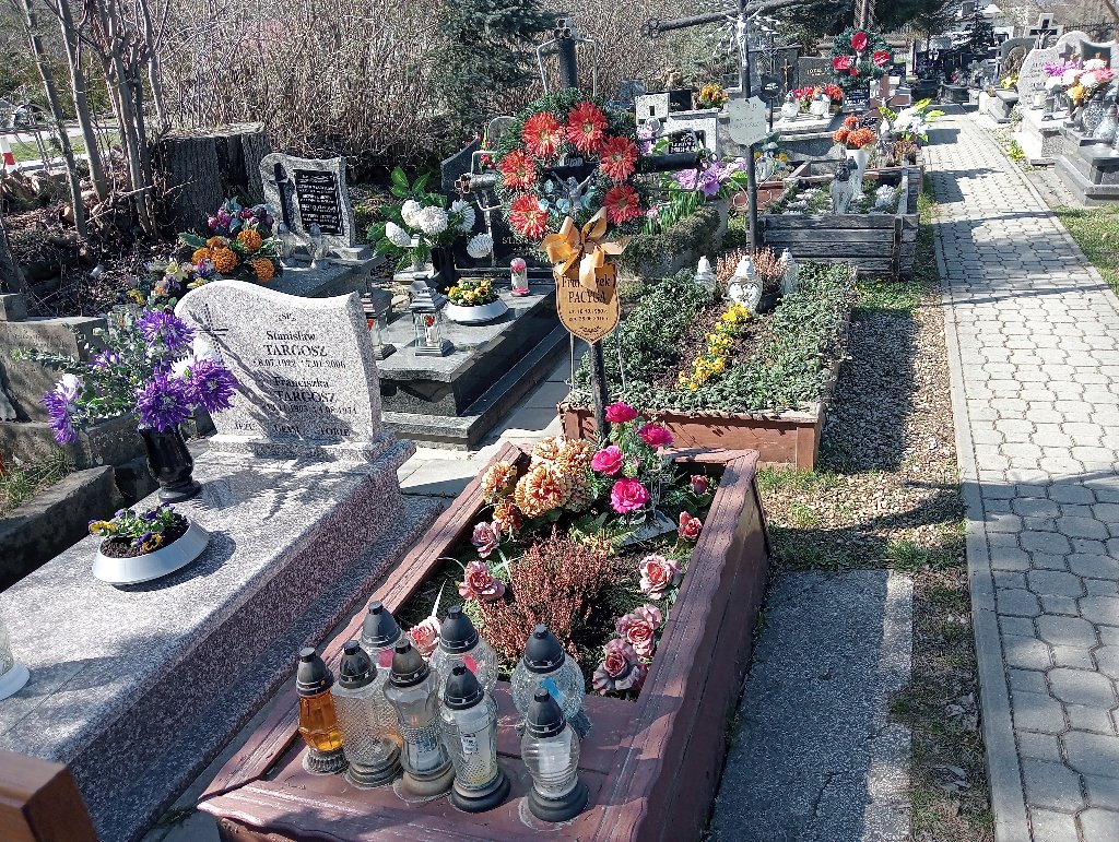 Grób Franciszek Pacyga